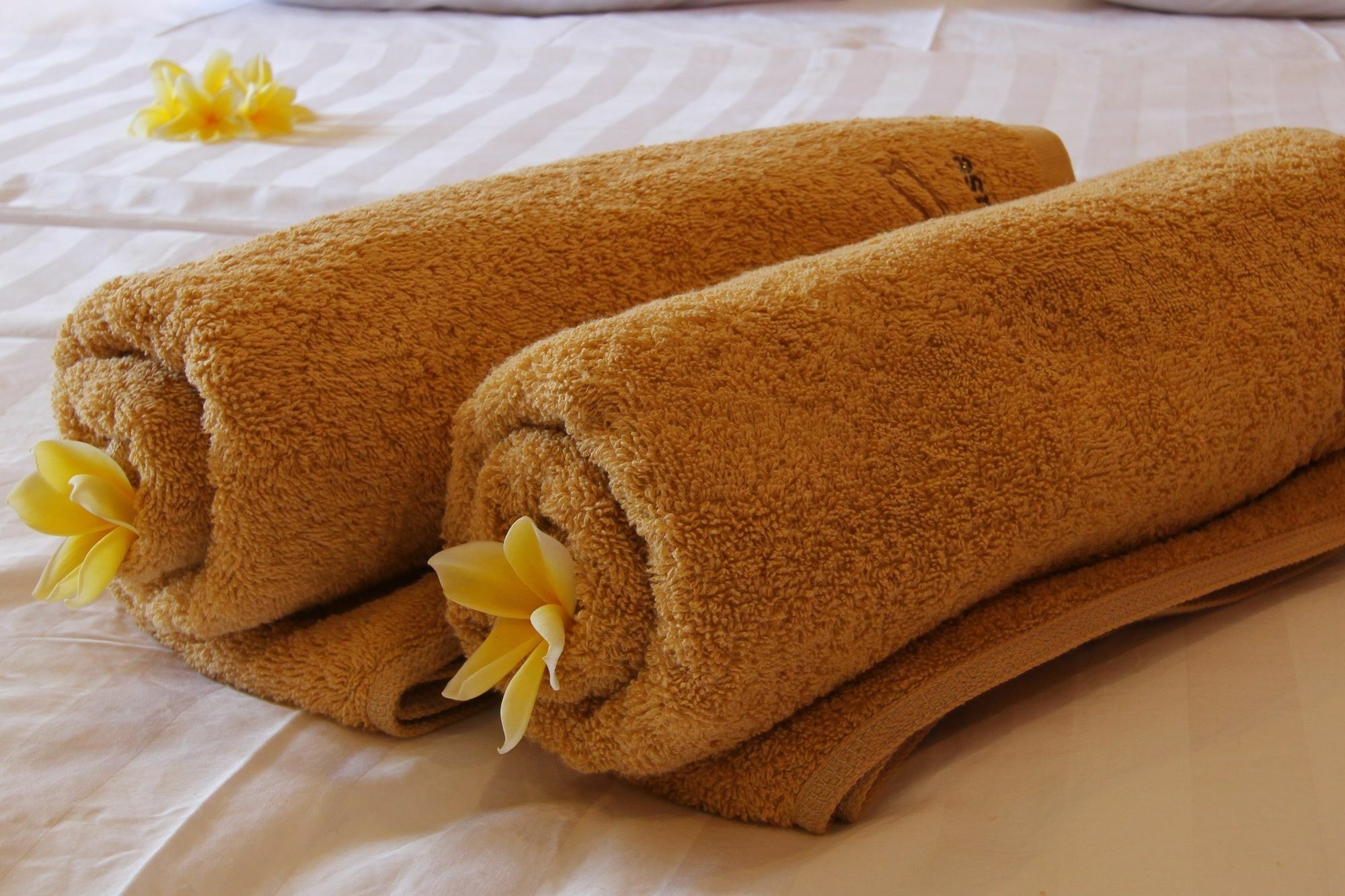 Saren Guest House Canggu Kültér fotó